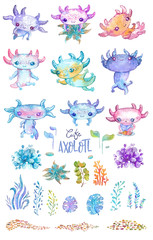 Watercolor cute axolotl characters for kid's design