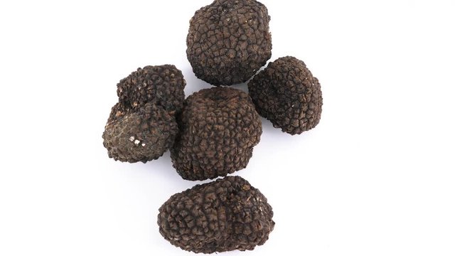 Black truffles isolated on white background, top view filmed in 4K