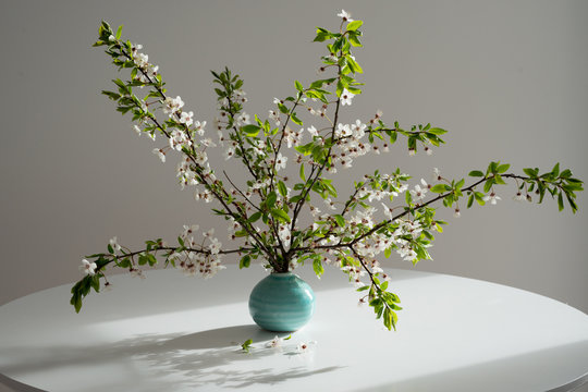 Fototapeta Branch of a flowering tree in a vase
