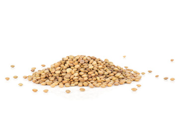 Lot of whole raw green lentil seeds heap isolated on white