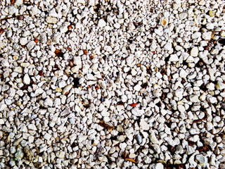 White Peddles and Rocks with debris