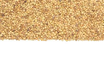 Lot of whole raw green lentil seeds above in line flatlay isolated on white