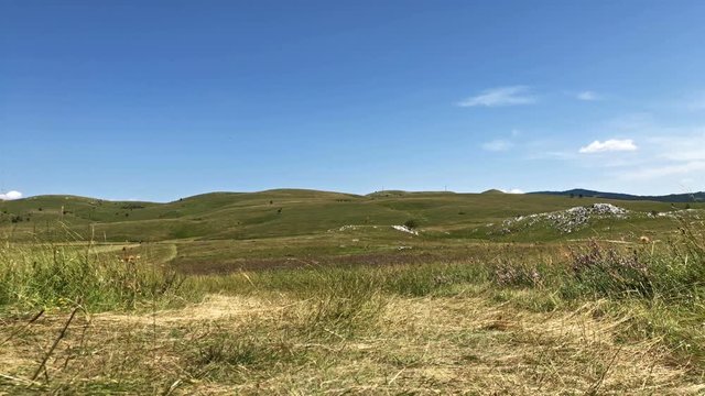 Beautiful green fields and blue sky landscape on sunny summer day