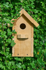 Wooden birdhouse in green leaves