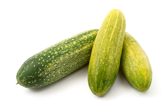 Master the Art of Growing Cucumbers at Home: A Comprehensive Guide