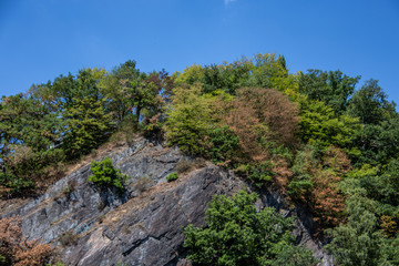Steinerne Klippe mit Baumbewuchs