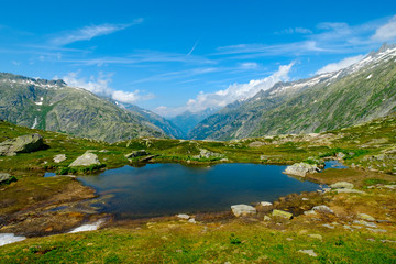 Fototapeta na wymiar Summer landscape of Switzerland nature at Grimsel pass