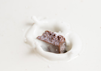 Chocolate falls in milk