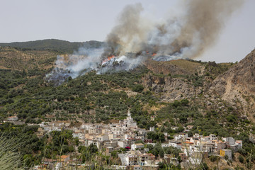 Fototapeta premium Incendio forestal en los bosques de Granada, España