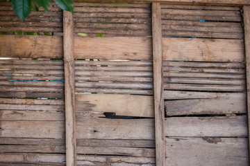 Wood wall texture