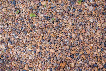 Gravel in the summer
