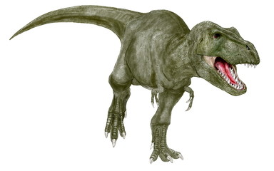 ティラノサウルス。白亜紀の代表的な恐竜。口を開けているイラスト画像です。アーミーグリーンの体色を採用した。