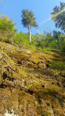 City Cesis, Latvia, red rocks and nature. Nature Trails of  the Gauja River