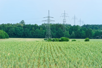 Scenic view of green field of cereal plants and high voltage towers, electricity pylons in the distant