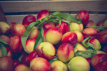 Peaches on market stall / Heap of fresh fruit on farmer’s market