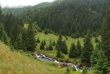 Rumunia, Karpaty Rumuńskie - Góry Fagaras, wzdłuż rzeki Balea w Dolinie Doamnele (Dolina...