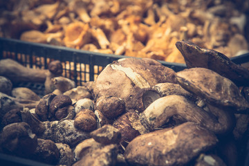 Chanterelles and bolete mushrooms on market stall / Fresh raw mushrooms on marketplace 