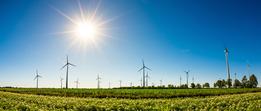 Panorama of a summer landscape with many wind turbines, green fields and bright sun