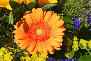 Various colorful summer flowers in a bouquet