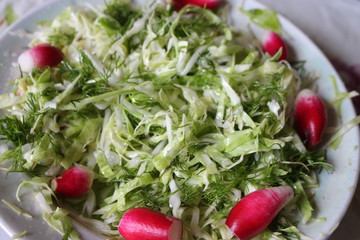 green cabbage and radish salad