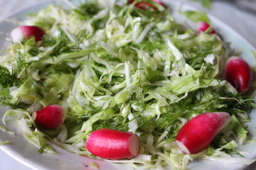 green cabbage and radish salad