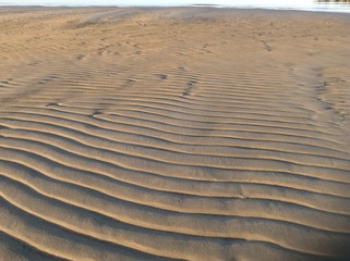 sand wind ripples beach