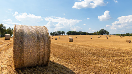 Harvest time, field with hay bales in the Lüneburg Heath, northern Germany.