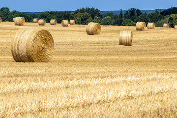 Harvest time, field with hay bales in the Lüneburg Heath, Northern Germany.