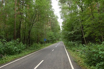 Fototapeta premium Bicycle road in the forest