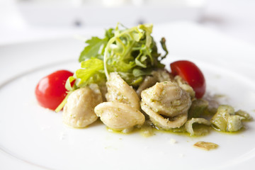 Pasta with Walnut Pesto