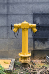 Fire hydrant on a street in Kuala Lumpur to prevent danger risk