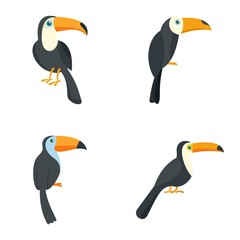 Toucan parrot bird icons set. Flat illustration of 4 toucan parrot bird vector icons isolated on white © anatolir
