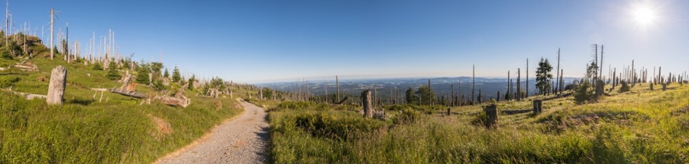 Obraz premium Panoramaaufnahme 180 Grad auf dem Berg großer Rachel im Bayerischen Wald, Deutschland