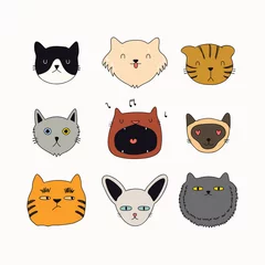 Keuken spatwand met foto Set of cute funny color doodles of different cats faces. Isolated objects on white background. Hand drawn vector illustration. Line drawing. Design concept for poster, t-shirt, fashion print. © Maria Skrigan