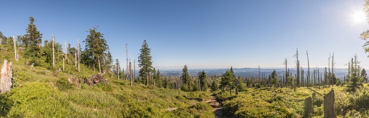 Panoramaaufnahme 180 Grad auf dem Berg großer Rachel im Bayerischen Wald, Deutschland