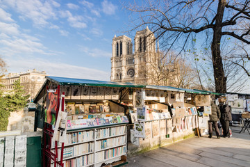 Notre Dame de Paris - obrazy, fototapety, plakaty