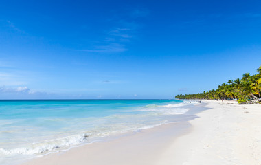 Fototapeta na wymiar White sandy beach, Dominican Republic