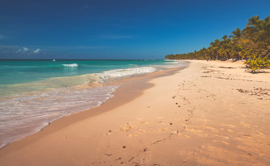 Fototapeta na wymiar Sandy beach landscape. Caribbean Sea