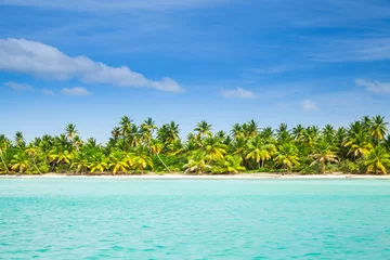 Tableaux ronds sur aluminium Caraïbes Des palmiers poussent sur la plage de Saona