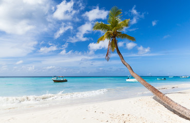 Caribbean Sea coast, Dominican republic