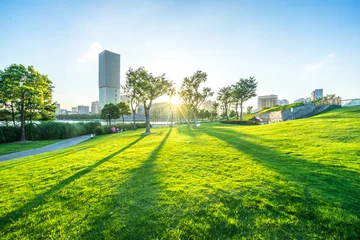 Foto op Plexiglas city skyline with green lawn © THINK b