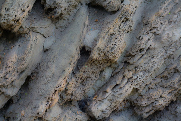 texture of natural shell rock