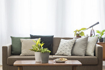 Real photo of a couch with pillows standing behind a table with plants in living room interior