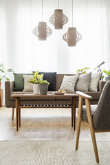 Real photo of a table with plants standing between a sofa with cushions and armchair in living room interior