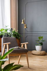 Real photo of an armchair standing in spacious living room interior with plants around