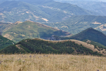 Fototapeta na wymiar Vista dal Monte nerone