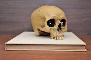 book with skull