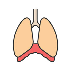 Thoracic cavity color icon