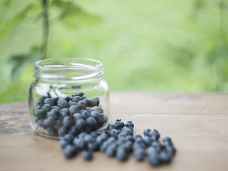 Blueberry in the glass jar at country style surroundings