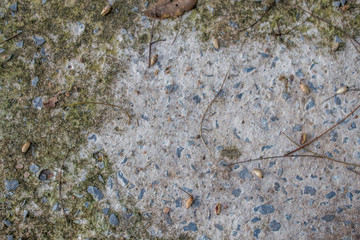 cement floor texture